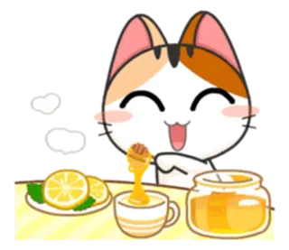 😋 gato, limão, mel, chá, kawaii, fofo, animal telegram sticker