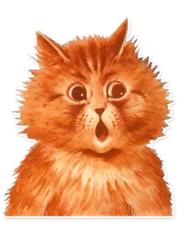 🙀 cat, orange cat, shocked cat, surprised cat, cartoon cat, cute, sticker telegram sticker