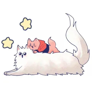 🐈 Katze, Kätzchen, süß, Sterne, flauschig, Haustier, Tier, kawaii telegram sticker