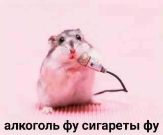 👌 алкоголь фу сигареты фу hámster, micrófono, alcohol, cigarrillos, animales, lindo whatsapp sticker