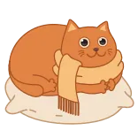 😳 cat, scarf, cute, orange, pillow, animal whatsapp sticker