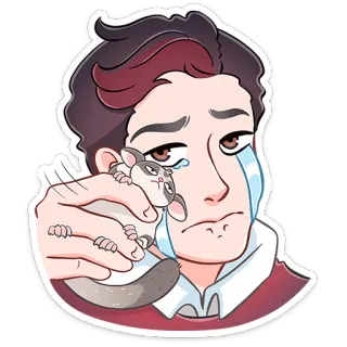 😭 哭泣, 悲伤, 宠物, 蜜袋鼯, 情绪化, 卡通, 贴纸, 动物 telegram sticker
