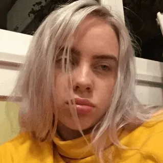 😕 Billie Eilish Billie Eilish, cantante, retrato, mujer, celebridad telegram sticker