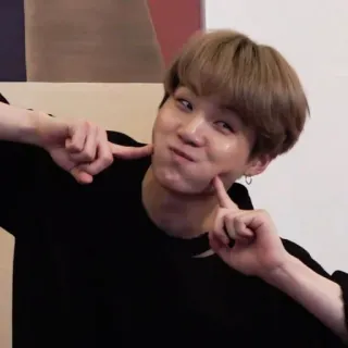 🦔 kpop, 슈가, 민윤기, bts, 아이돌, 아시아 telegram sticker