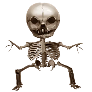 ☠️ Skelett, Halloween, Schädel, gruselig, Knochen, Anatomie telegram sticker