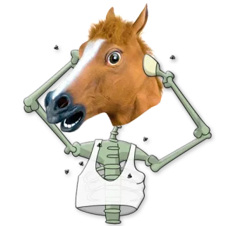 😷 horse, skeleton, funny, animal, humor, meme whatsapp sticker