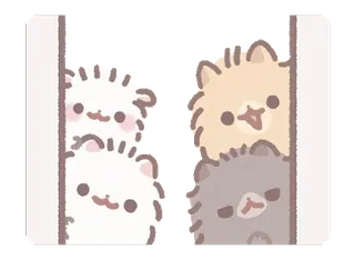 ⭐ chats, qui regardent, mignon, animaux, autocollant telegram sticker