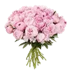 ☆ @emoji1 ★ telegram emojis 💐