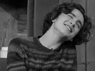 🕳 Timothée Chalamet attore, celebrità, sorriso, ritratto, persona, uomo telegram sticker