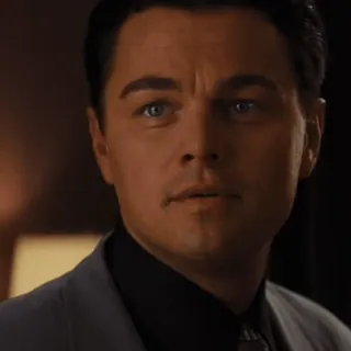 😎 Leonardo DiCaprio actor, celebrity, man, face telegram sticker