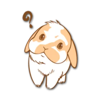❓ うさぎ, バニー, 動物, かわいい, 質問, 困惑, ペット telegram sticker