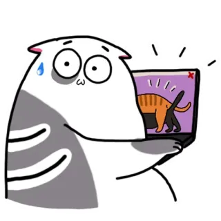 🤫 แมว, แล็ปท็อป, การ์ตูน, ตลก, ตกใจ, คอมพิวเตอร์ telegram sticker
