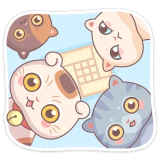 👀 кот, милый, котёнок, животные, мультик, игривый whatsapp sticker