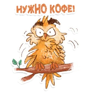 🤓 НУЖНО КОФЕ! gufo, caffè, stanco, uccello, ho bisogno di caffè, assonnato telegram sticker