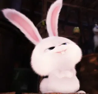 🐰 Snowball The Secret Life of Pets coelho, coelho, branco, animal, desenho animado, personagem, animal de estimação whatsapp sticker