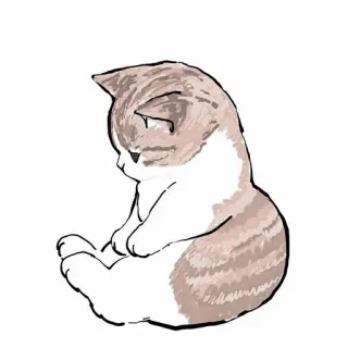 🥞 cat, kitten, animal, cute, pet telegram sticker