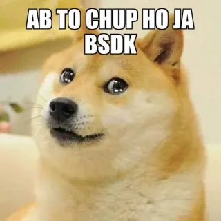 🥺 AB TO CHUP HO JA
BSDK 多吉, 表情包, 搞笑, 网络, 狗 telegram sticker