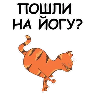YogaCat @stickersb2b whatsapp stickers