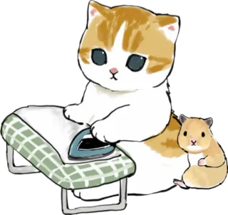 🧺 cat, hamster, cute, ironing, animals telegram sticker