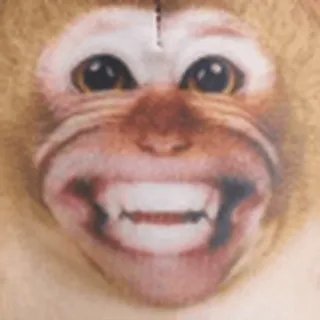 🐵
