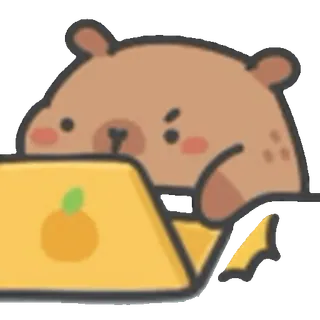 💻