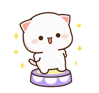 💃 猫, 可爱, 星星, 卡通, 动物 whatsapp sticker