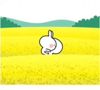 🤗 lapin, mignon, animal, dessin animé telegram sticker