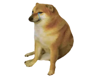 😭 cheems, dog, meme, sad, animal, crying, shiba inu telegram sticker