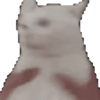 🫨
