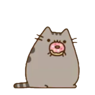 🍩 Pusheen gato, dona, pusheen, lindo, pegatina, dibujo animado whatsapp sticker