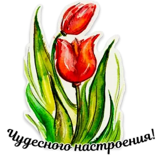 🌷 Чудесного настроения! tulips, flowers, watercolor, greeting, positive, mood, russian telegram sticker