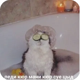 🫥 педи кюр мани кюр суе цыд telegram sticker