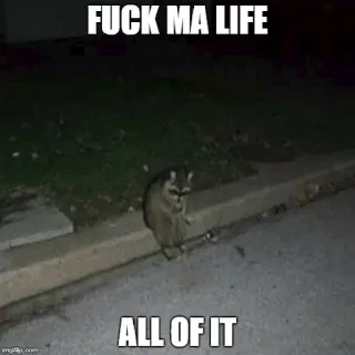 😭 FUCK MA LIFE
ALL OF IT mapache, triste, meme, vida, maldiciones whatsapp sticker