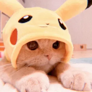 🐯 Pikachu Pokemon kucing, pikachu, imut, binatang, pokemon, topi, cosplay telegram sticker