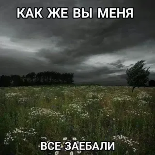 🌟 КАК ЖЕ ВЫ МЕНЯ
ВСЕ ЗАЕБАЛИ 러시아어, 밈, 텍스트, 짜증, 자연, 들판 whatsapp sticker