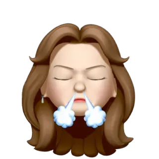 🐻 Emoji, Frustrato, Arrabbiato, Esasperato, Meme, Personaggio telegram sticker