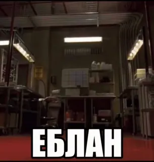 🌟 ЕБЛАН оскорбительный, оскорбление, русский, оскорбление whatsapp sticker