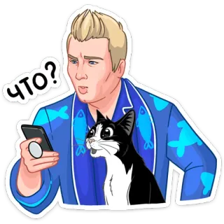 ❓ ЧТО? hombre, gato, teléfono, pregunta, ruso whatsapp sticker