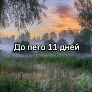 ☀️ До лета 11 дней naturaleza, verano, cuenta atrás, paisaje, días, calendario, temporada telegram sticker