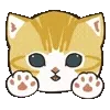 🐱