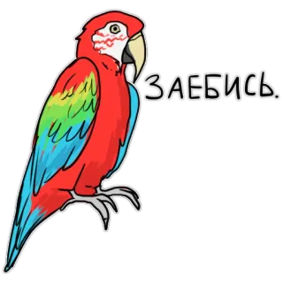 🙂 ЗАЕБИСЬ. Papagei, Vogel, Bunt, Lustig, Aufkleber whatsapp sticker