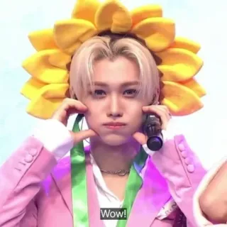 🥰 Wow! felix, stray kids, kpop, idol, singer, sunflower, cute telegram sticker