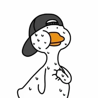 🌟 duck, cartoon, animal, hat, character, funny, sticker telegram sticker