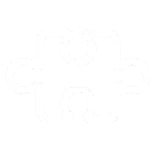 🧩