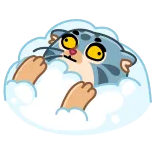 Snow Manul telegram stickers