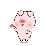 🌹 猪, 卡通, 可爱, 棒棒糖, 动物, 粉色, 卡哇伊 telegram sticker