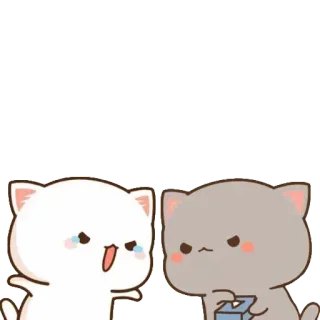 😡 kucing, imut, sedih, marah, binatang, kartun telegram sticker