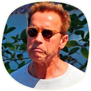 😕 Arnold Schwarzenegger ator, celebridade, óculos de sol, retrato telegram sticker