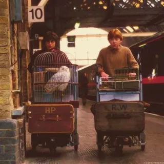 💯 Harry Potter, Ron Weasley Harry Potter Harry Potter, Ron Weasley, Plataforma 9 3/4, Estação King's Cross, Fantasia, Magia, Coruja, Edwiges telegram sticker