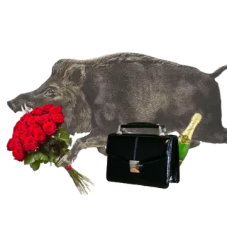 🌹 jabalí, flores, maletín, champán, rosas telegram sticker